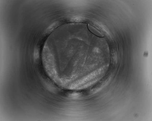 X0000102520312200808221847