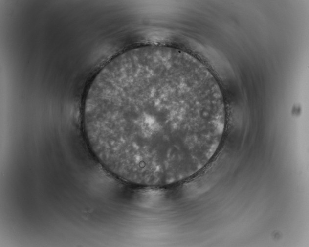 X0000102520313200808221847