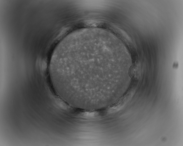 X0000102520314200808221847