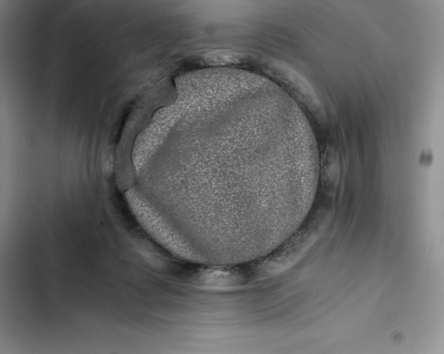 X0000102520315200808221847