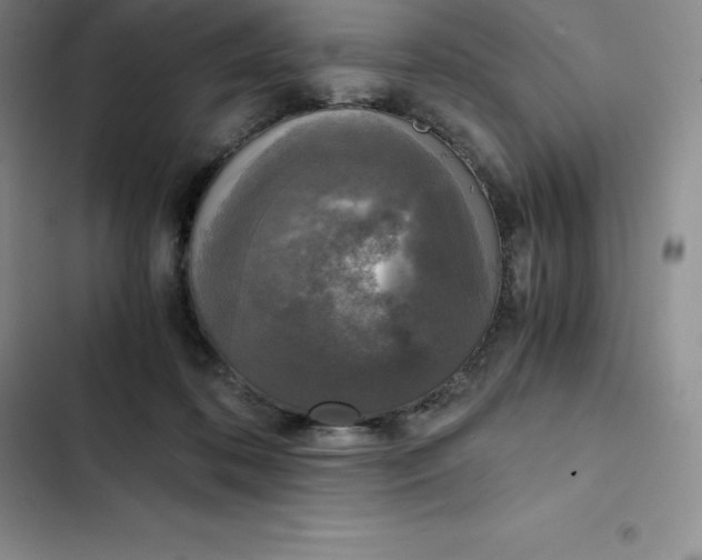 X0000102520316200808221847