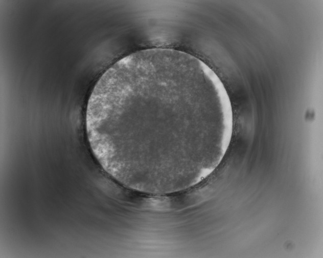 X0000102520317200808221847