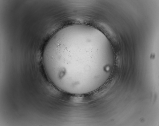 X0000102520318200808221847