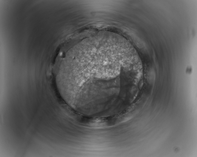 X0000102520319200808221847