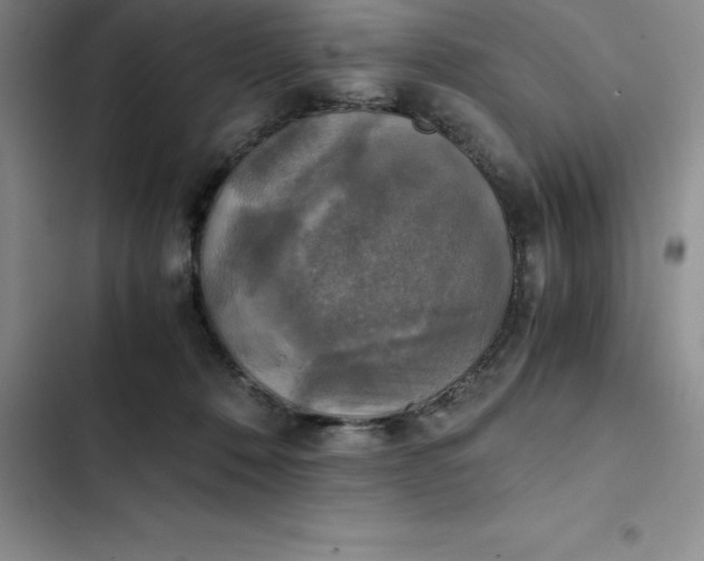 X0000102520320200808221847