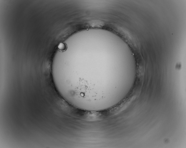 X0000102520321200808221847