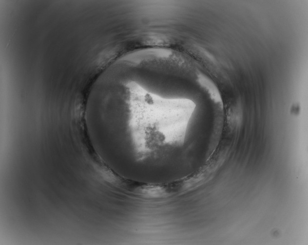 X0000102520322200808221847