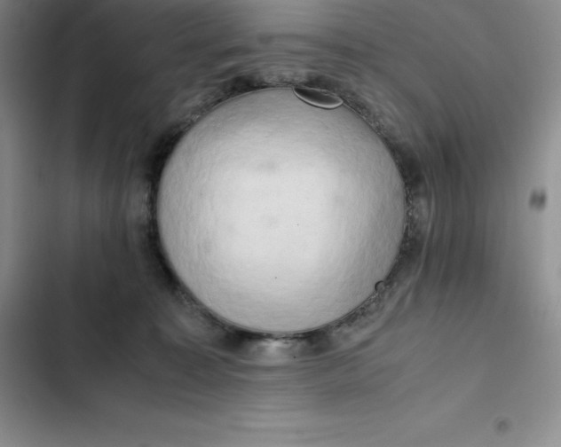 X0000102520323200808221847