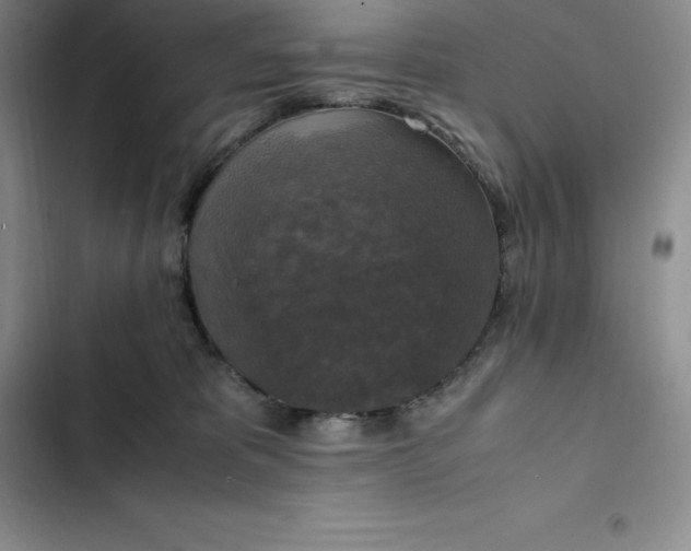 X0000102520325200808221847