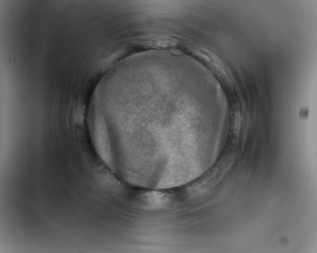 X0000102520326200808221847