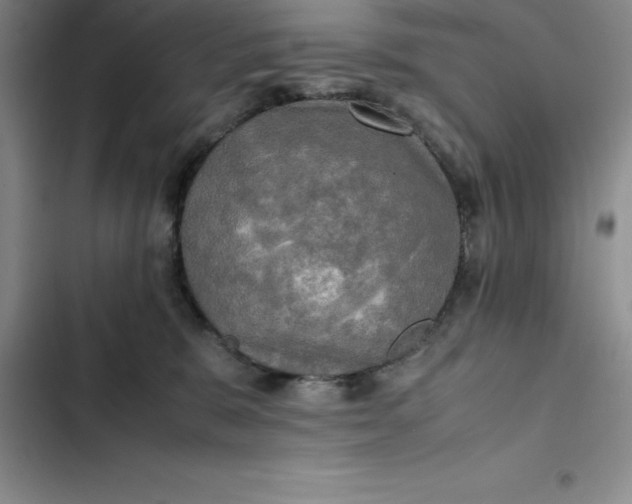 X0000102520327200808221847