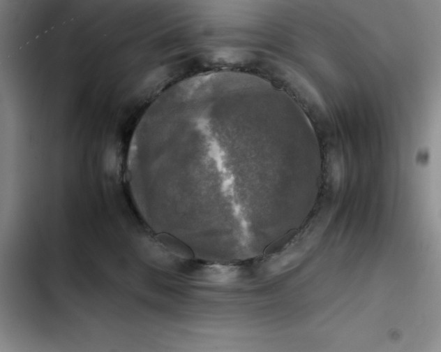 X0000102520328200808221847