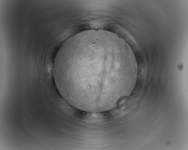 X0000102520329200808221847