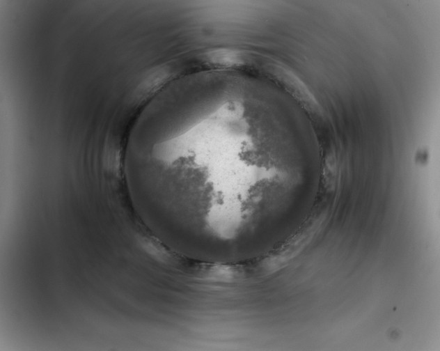 X0000102520330200808221847