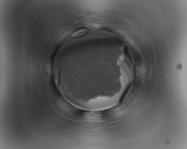 X0000102520331200808221847