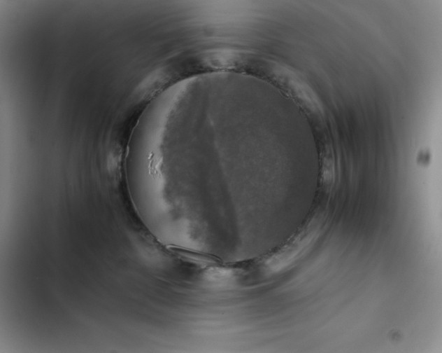 X0000102520332200808221847