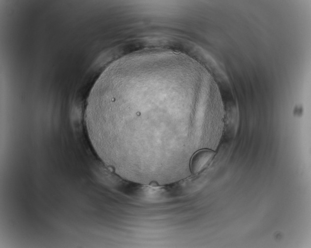 X0000102520333200808221847