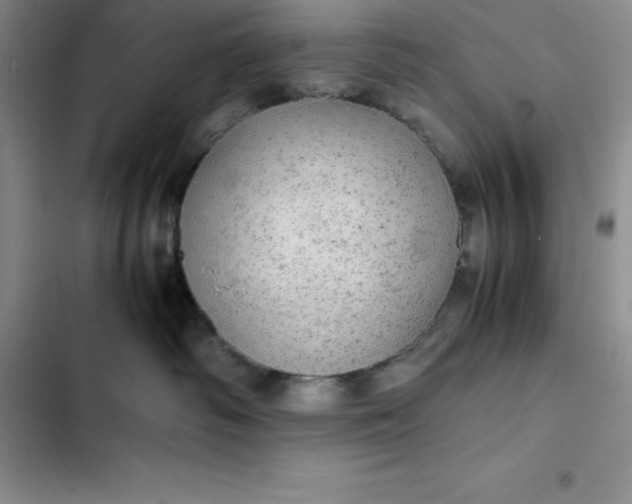 X0000102520334200808221847