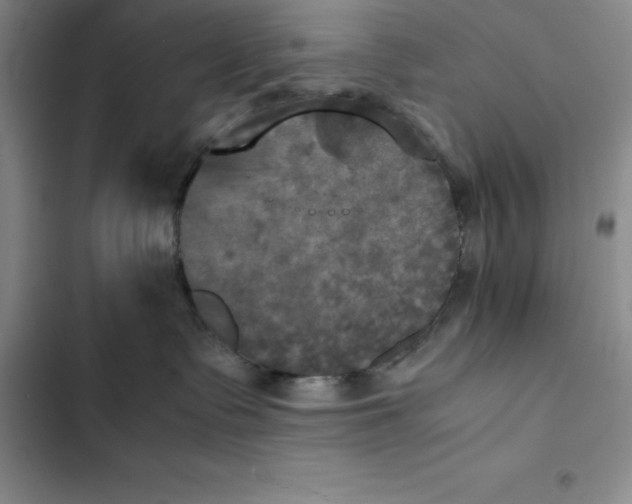 X0000102520335200808221847