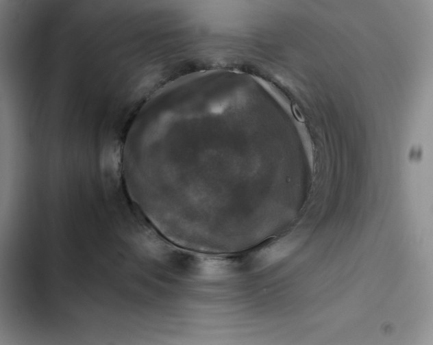 X0000102520336200808221847