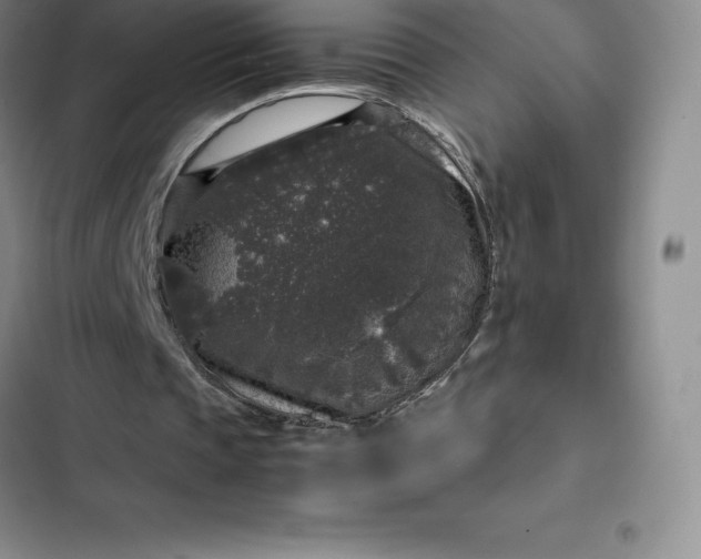 X0000102520337200808221846