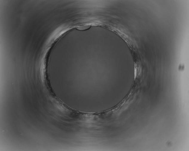 X0000102520339200808221846