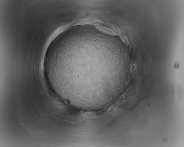 X0000102520340200808221846