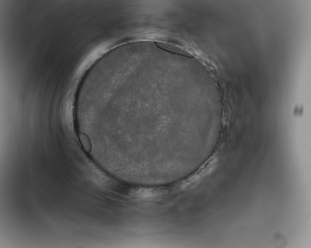 X0000102520341200808221846