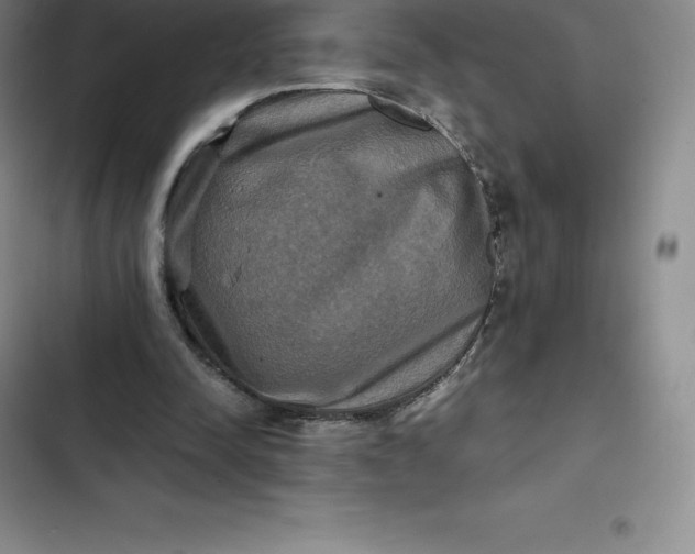 X0000102520342200808221846