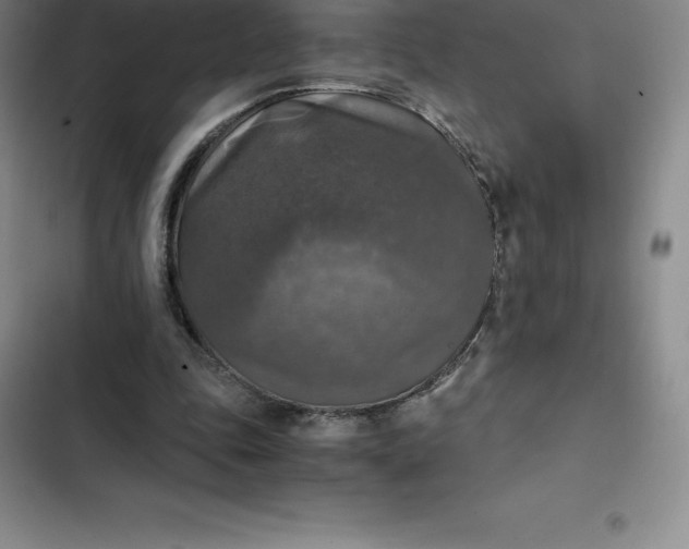 X0000102520343200808221846