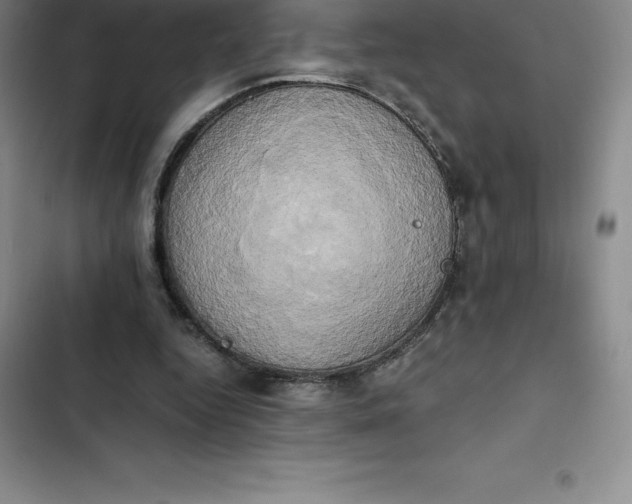 X0000102520344200808221846