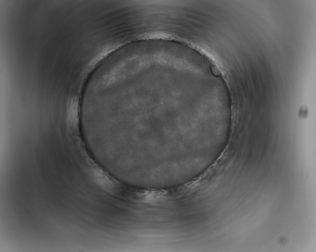 X0000102520345200808221846