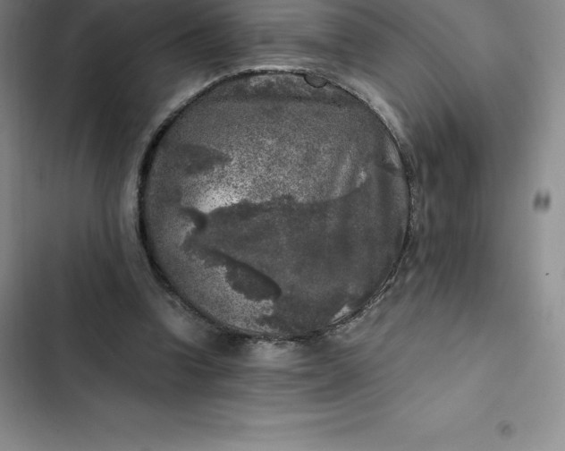 X0000102520346200808221846