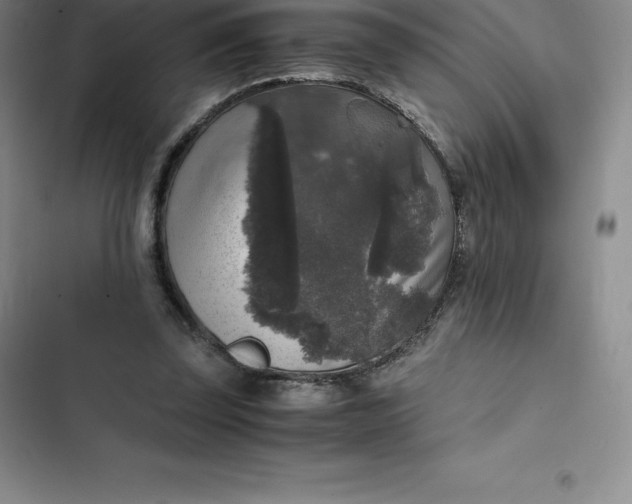 X0000102520347200808221846