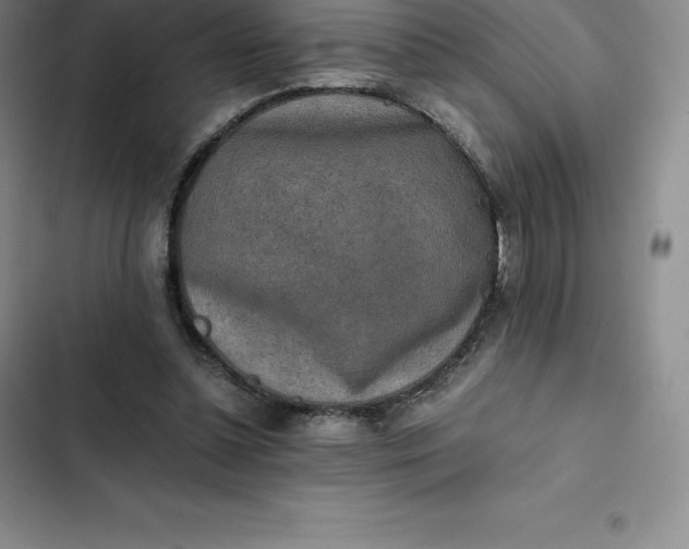 X0000102520348200808221846