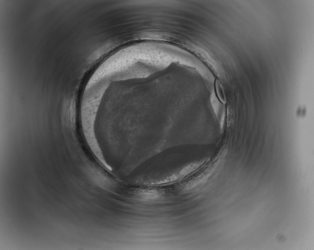 X0000102520349200808221846