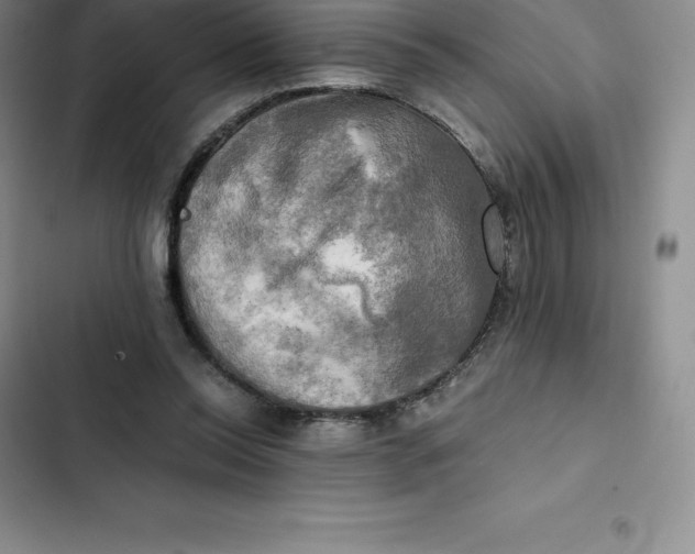 X0000102520350200808221846