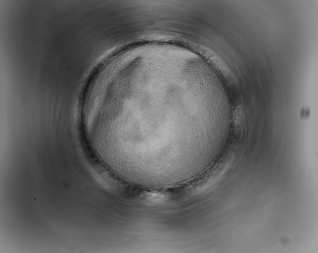 X0000102520352200808221846