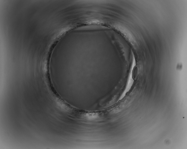 X0000102520353200808221846