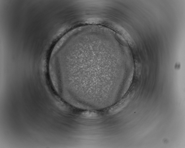 X0000102520354200808221846