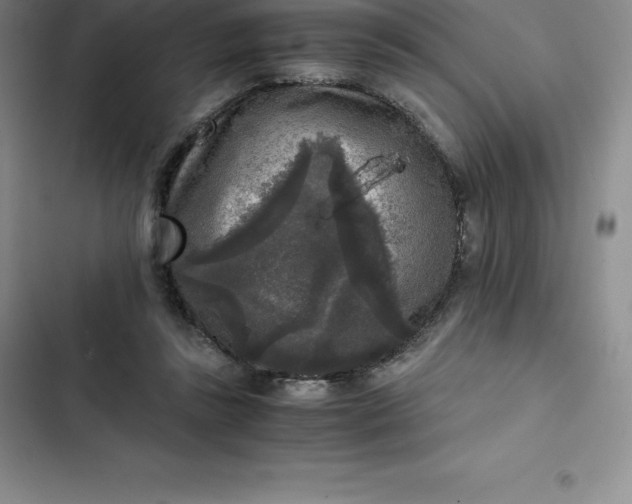 X0000102520355200808221847