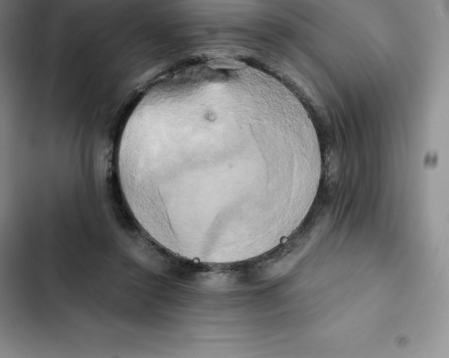 X0000102520356200808221847