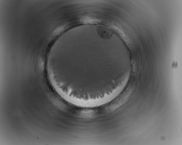 X0000102520357200808221847