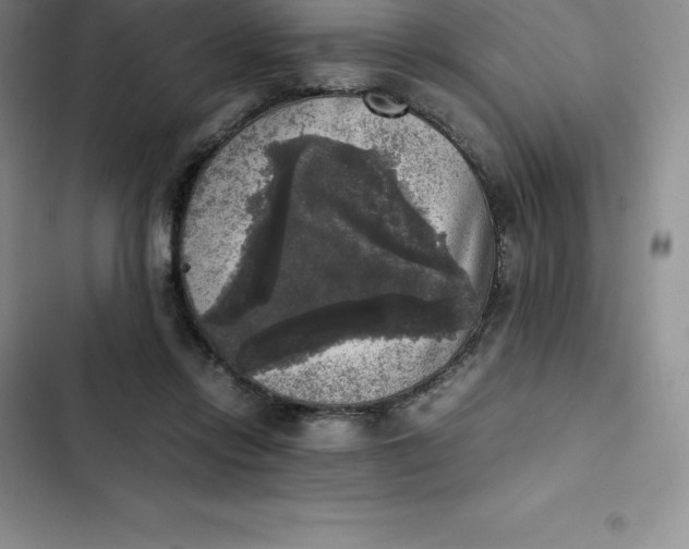 X0000102520358200808221847