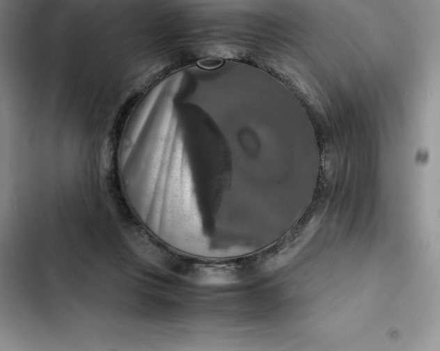 X0000102520359200808221847