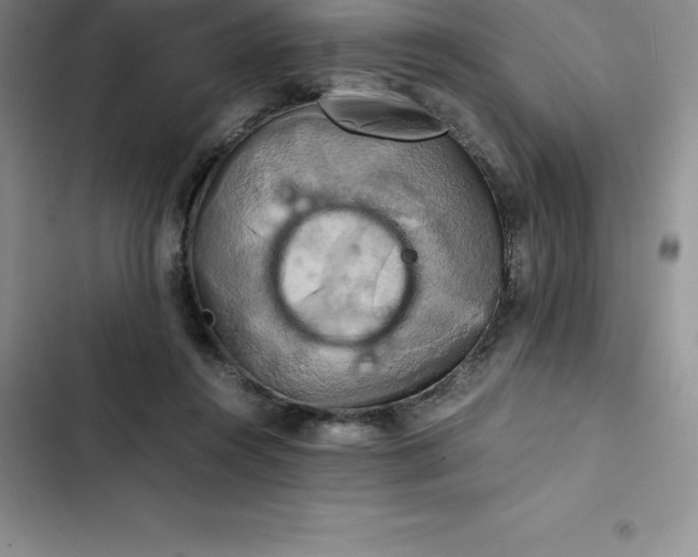 X0000102520360200808221847