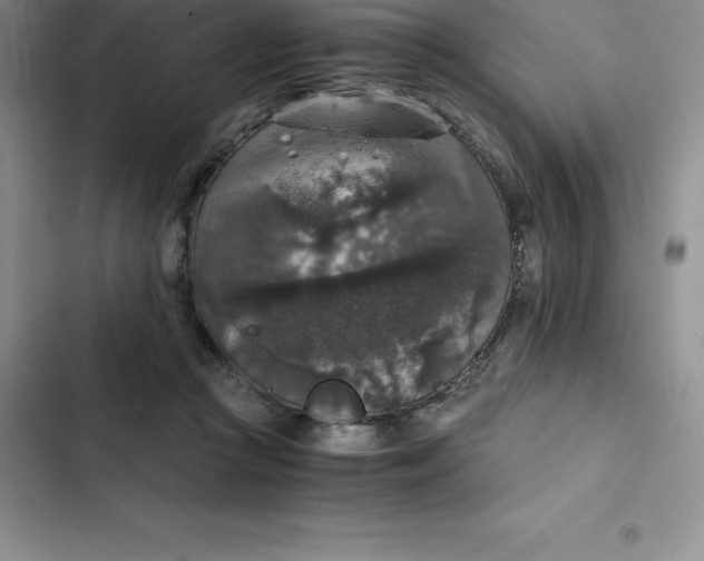 X0000102520361200808221847