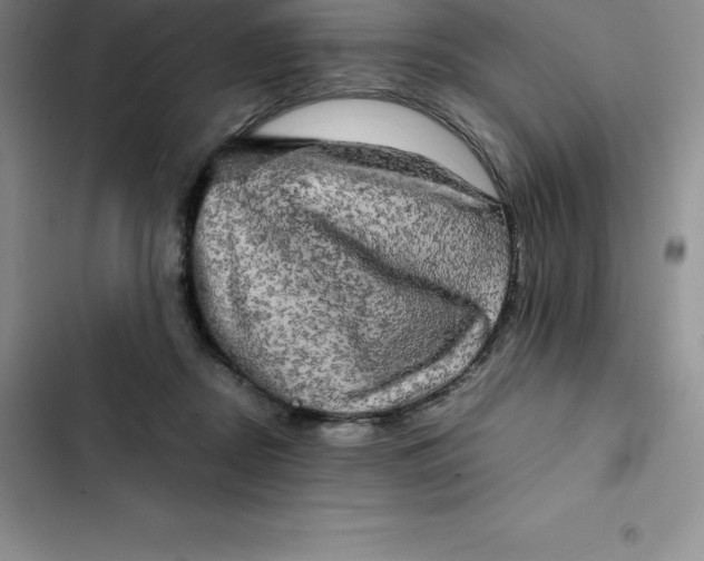 X0000102520362200808221847