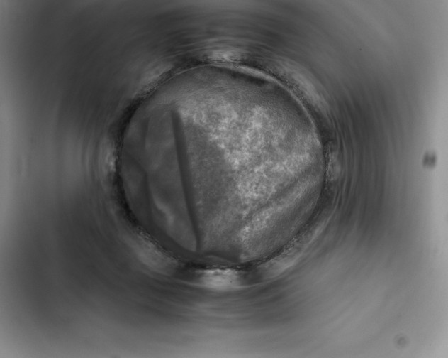 X0000102520363200808221847