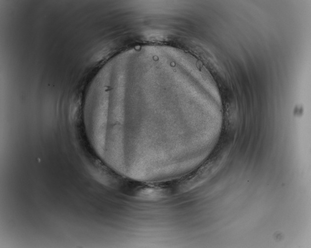 X0000102520364200808221847